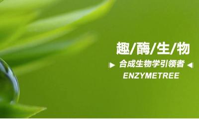 趣酶生物获近亿元A轮融资,以合成生物学创新提供"天然"、"生物基"原料
